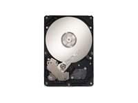 Dell - F420T - Festplatte - 250 GB - intern - 3.5" (8.9 cm)