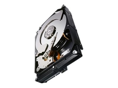 SEAGATE - ST1000NC001 - ST1000NC001