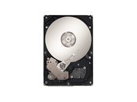 SEAGATE - ST3500620SS - ST3500620SS