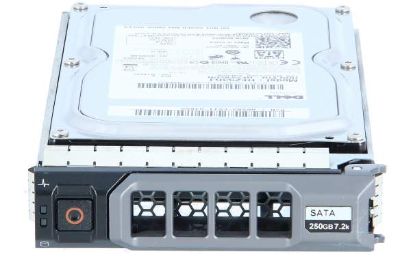 DELL - 0GRCT2 - HDD 250GB 3G SATA 7.2k 3.5", HE253GJ