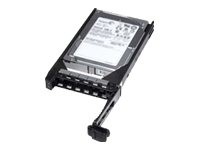 DELL - 400-25606 - Dell Fully Assembled - Festplatte - 300 GB - intern - 2.5" (6.4 cm)