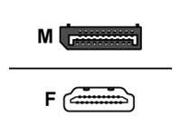 Manhattan - 151634 - Manhattan Videoanschluß - DisplayPort / HDMI - DisplayPort (M)