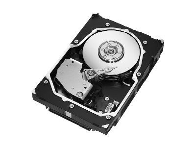 SEAGATE - ST3300655SS - ST3300655SS