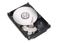 SEAGATE - ST3400633NS - Seagate NL35 Series ST3400633NS - Festplatte - 400 GB - intern - 3.5" (8