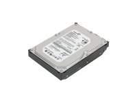 Lenovo - 45J7918 - Lenovo Festplatte - 1 TB - intern - 3.5" (8.9 cm)