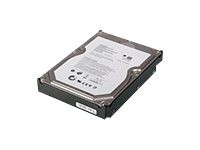 Lenovo - 4N40A33712 - Lenovo HGST - Festplatte - 1 TB - 3.5" (8.9 cm) - SATA 3Gb/s - 7200 rpm -