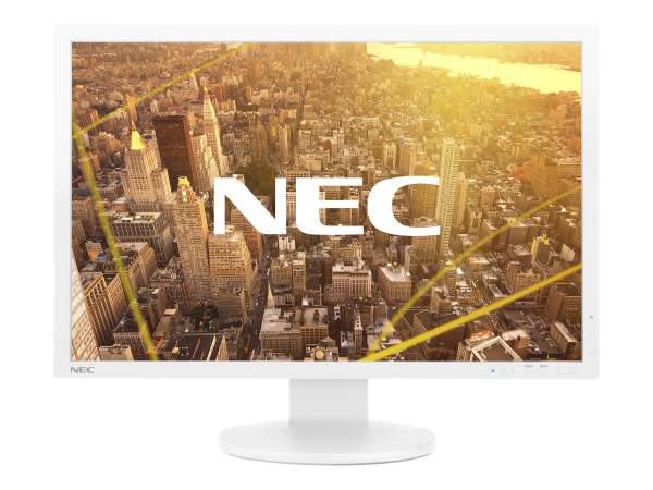 NEC Display - 60004430 - 61cm(24") MultiSync PA243W silber/hellgrau