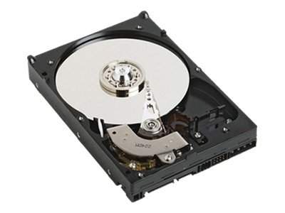 DELL - 428-10152 - Dell Nearline - Festplatte - 1 TB - intern - SAS