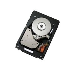 IBM - 41Y8248 - IBM Lenovo Dual Port - Festplatte - 1 TB - Hot-Swap - 3.5" (8.9 cm)