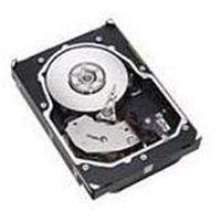 IBM - 73P8022 - IBM Festplatte - 146.8 GB - Hot-Swap - 3.5" (8.9 cm)